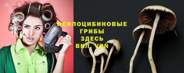 мдпв Магадан