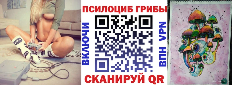дарнет шоп  сайты даркнета формула  Галлюциногенные грибы MAGIC MUSHROOMS  Ярославль 